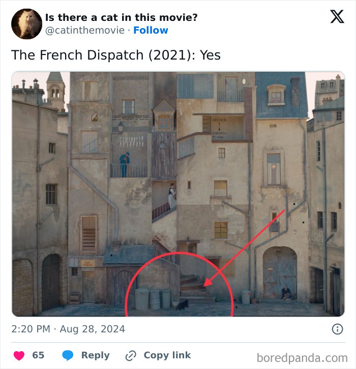 Screenshot from The French Dispatch, highlighting a cat in cinema with a red circle. This small detail tracks every cat.