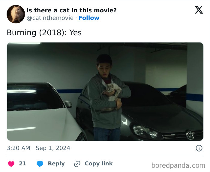 A man holding a small cat in a parking garage. Part of an article tracking every cat in cinema.