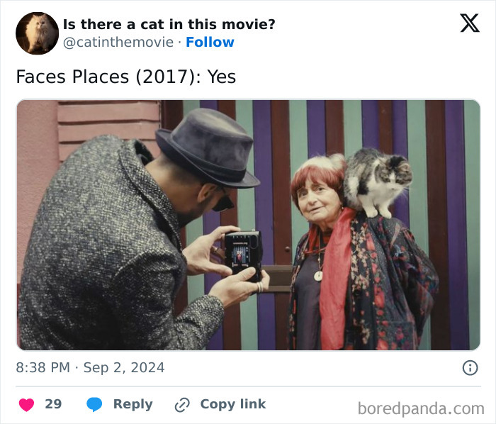 A man photographs an older woman with a cat in cinema on her shoulder. Track every cat in cinema.