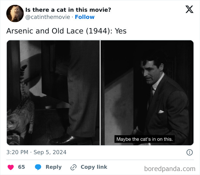 Black and white stills from Arsenic and Old Lace. Left shows a cat walking past a man's legs. Right shows Cary Grant looking intrigued. A cat in cinema tracking.