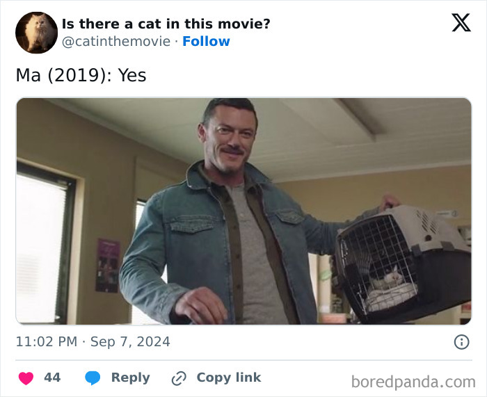 A man carries a cat in cinema in a pet carrier, smiling. A social media post asks, "Is there a cat in this movie? Ma (2019): Yes."
