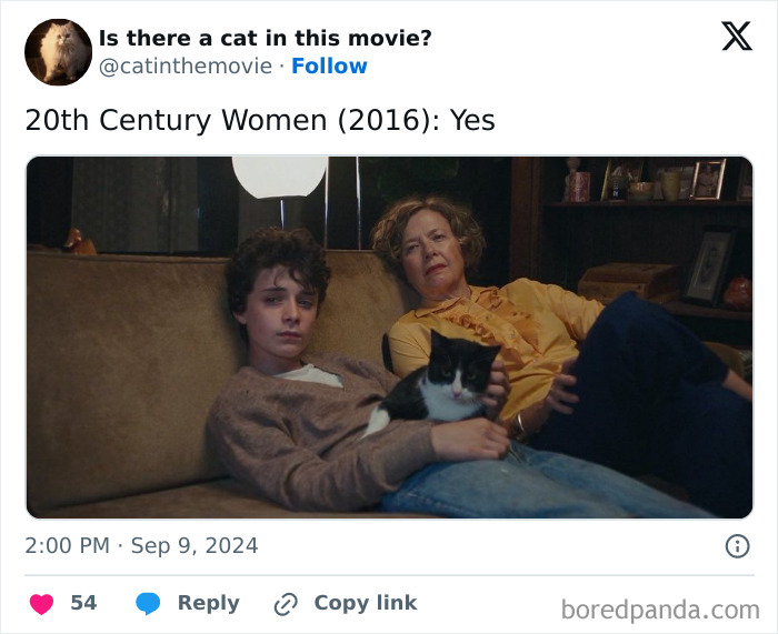 A black and white **cat in cinema** on a young person's lap, with an older woman sitting on a couch.