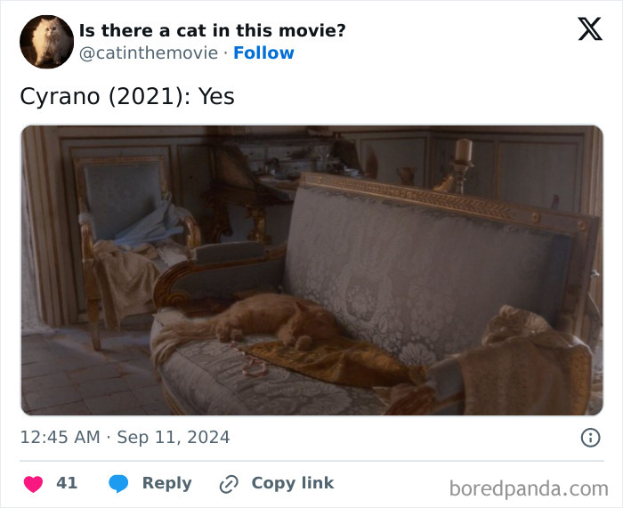 A screenshot of a tweet confirming a cat in Cyrano (2021). An orange cat is sleeping on an ornate sofa. #catincinema