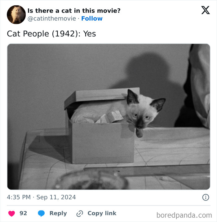 A black and white image of a Siamese cat peeking out of a box from the movie Cat People (1942). Discover cats in cinema.