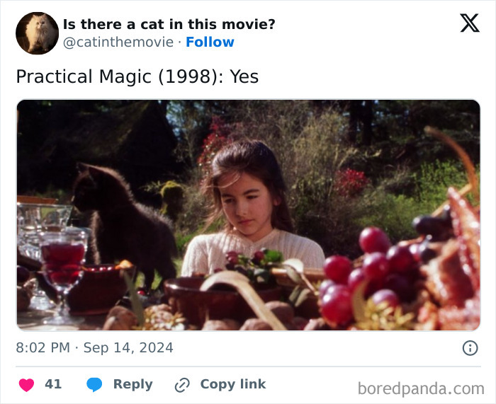 A young girl and a black cat on a picnic blanket, part of the page tracking every cat in cinema.