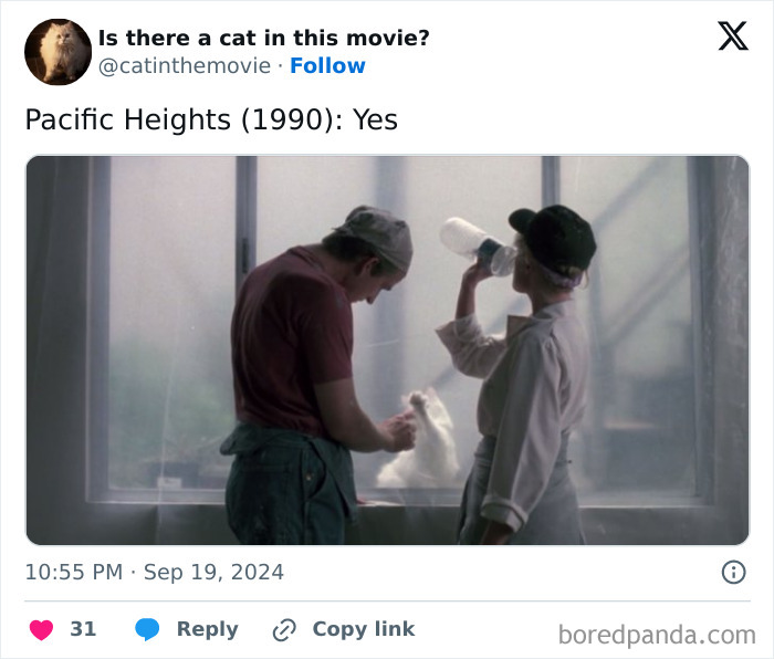 A tweet about Pacific Heights (1990) with a man and woman by a window, a white cat between them. Cinema cat.