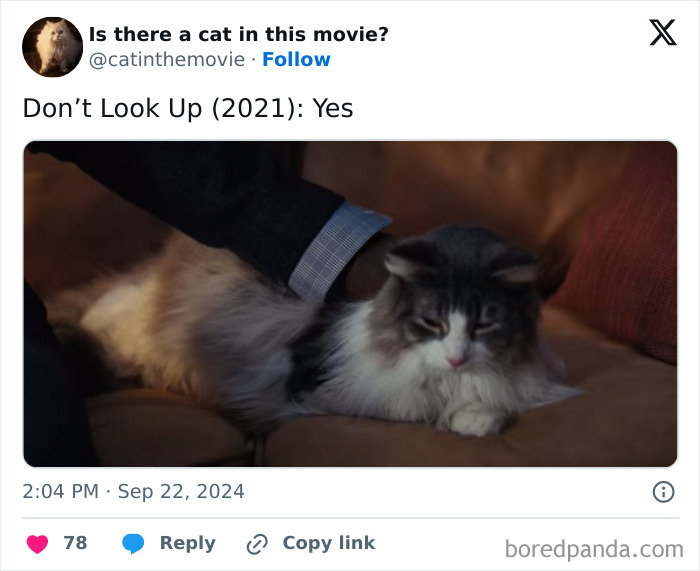 A person petting a fluffy white and grey cat in cinema from the movie Don't Look Up. Discover more cats in cinema.