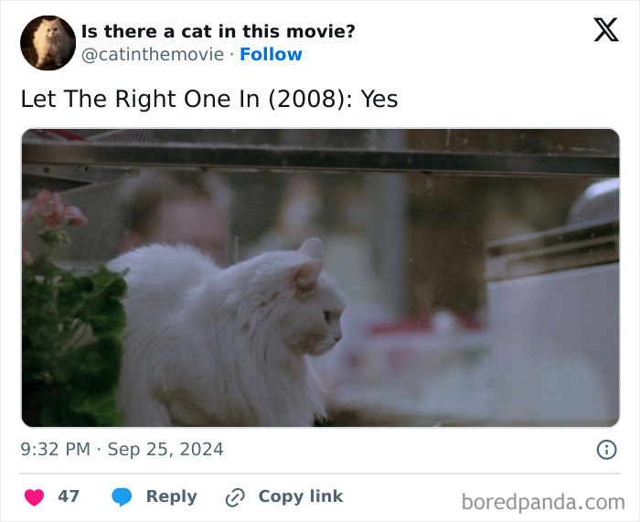 A white cat in cinema, from "Let The Right One In," featured on a social media post asking Is there a cat in this movie?