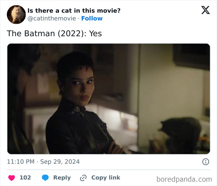 Screenshot of a tweet from @catinthemovie asking "Is there a cat in this movie?" and responding "The Batman (2022): Yes." Zoë Kravitz as Catwoman is visible, with a cat in cinema behind her, tracking cat appearances.