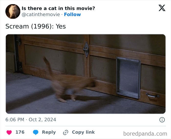 A tweet confirming a cat in Scream (1996), with a blurry orange cat walking past a cat flap in a wooden door. Tracking every cat in cinema.