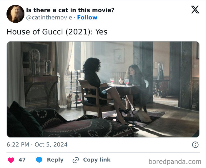 Screenshot of a tweet showing a cat in cinema from House of Gucci. Two women sit at a table while a cat walks nearby.