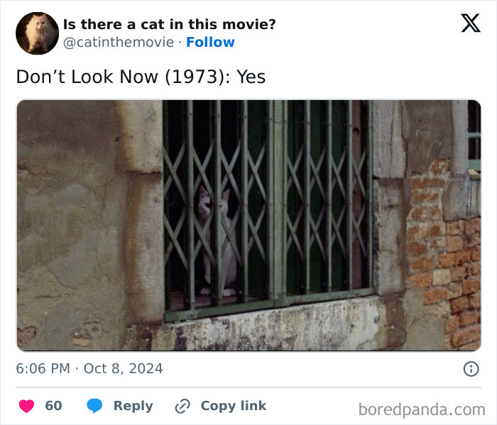 A still from Don't Look Now (1973) shows a white cat peering through a green metal gate. Discover every cat in cinema.