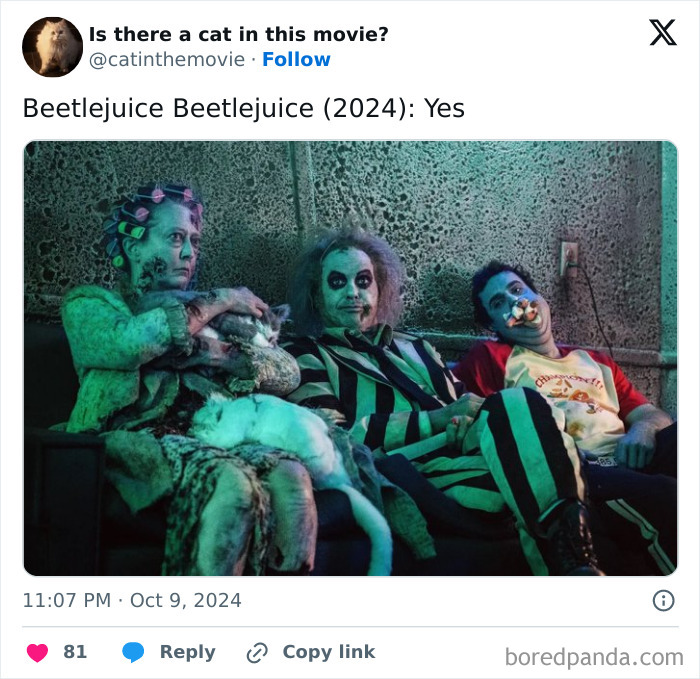 Beetlejuice, Beetlejuice, Beetlejuice (2024) features multiple cats in cinema, confirming their appearance.