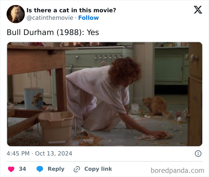A woman cleaning a messy kitchen floor, while a fluffy orange cinema cat looks on from the background.