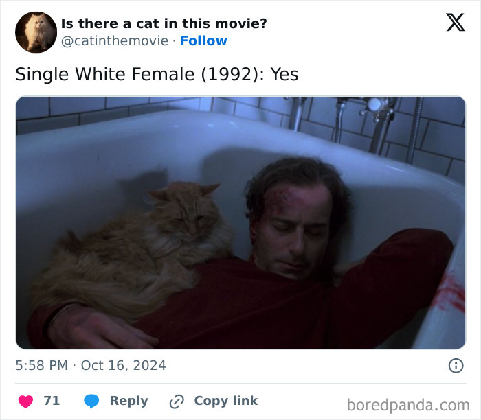 A fluffy orange cat resting on a man's chest in a bathtub, from the movie Single White Female (1992). Cat in cinema.