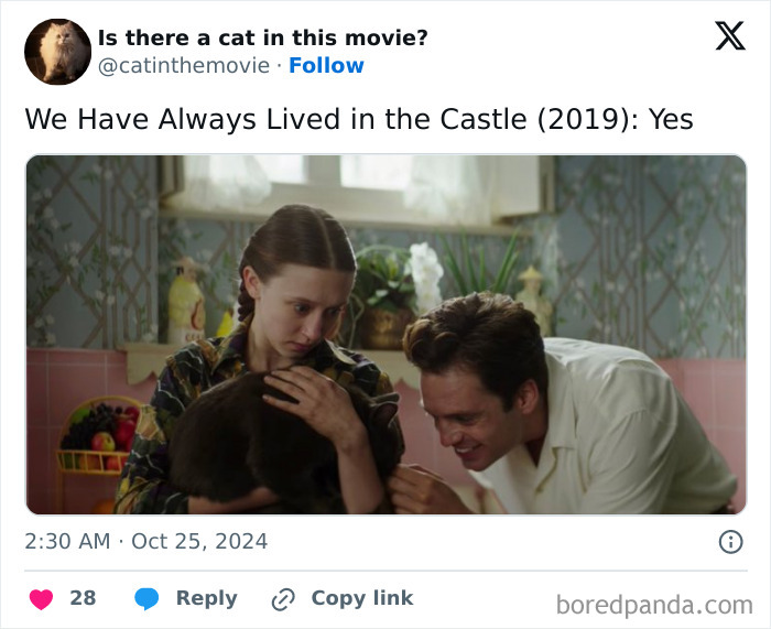 A tweet from @catinthemovie showing a woman holding a cat in cinema with a man smiling. Tracks every cat in cinema.
