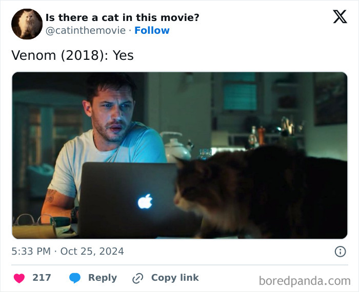A cat in cinema, specifically from Venom (2018), walks past a man on a laptop. Cat in cinema content.