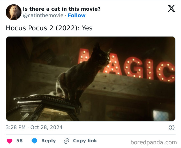 A black cat from Hocus Pocus 2, standing on a lantern. This cinema cat is one of many.