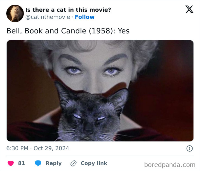 A Siamese cat in cinema, with glowing eyes, held by a woman in a still from the movie Bell, Book and Candle.