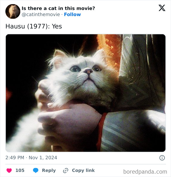 A beautiful white cat in cinema, looking upwards. A hand holds the cat gently, highlighting cats in cinema from Hausu (1977).