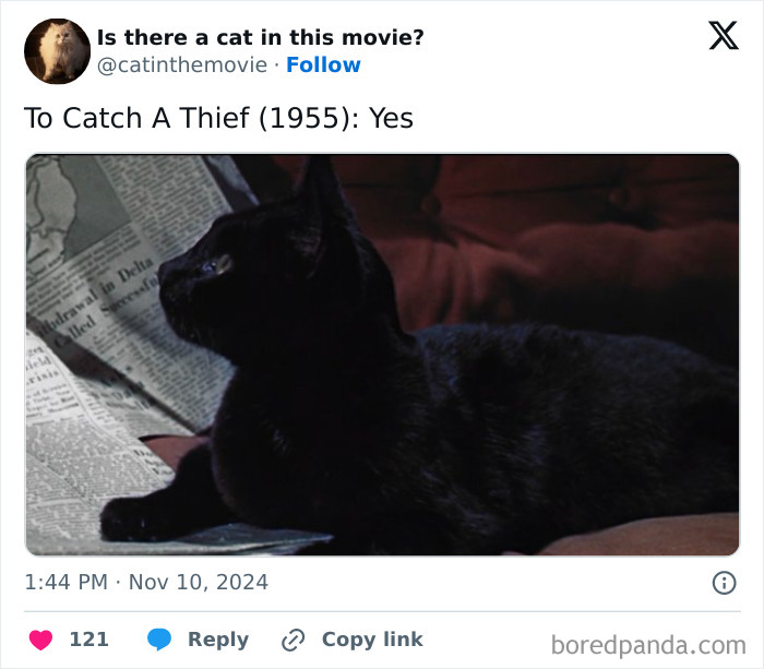 Black cat in cinema, from To Catch A Thief, lying on a newspaper. This cat in cinema is one you probably didn't notice.