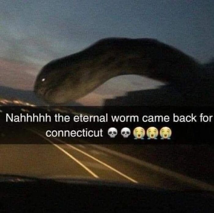 Blurry night image of a giant worm above road with caption about eternal worm, a confusing and unhinged image.