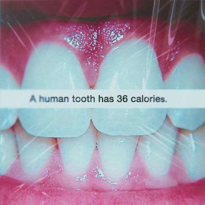 Close-up of human teeth with text stating a human tooth has 36 calories, a confusing and unhinged image.