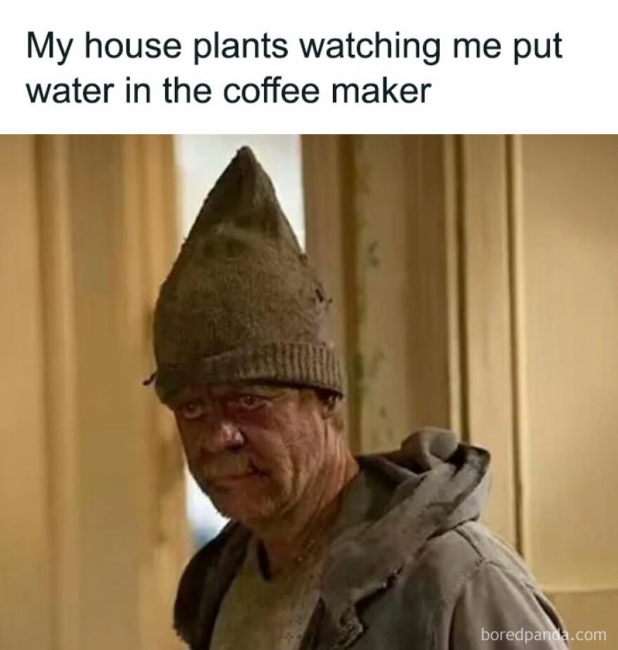 A relatable meme of a man in a grubby hat, looking suspicious. Text says: My house plants watching me put water in the coffee maker.