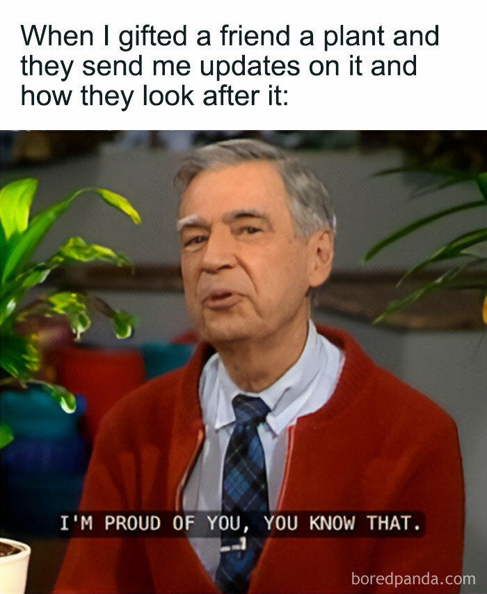 Mr. Rogers in a meme about a friend sending plant updates. Crazy plant parent vibes.