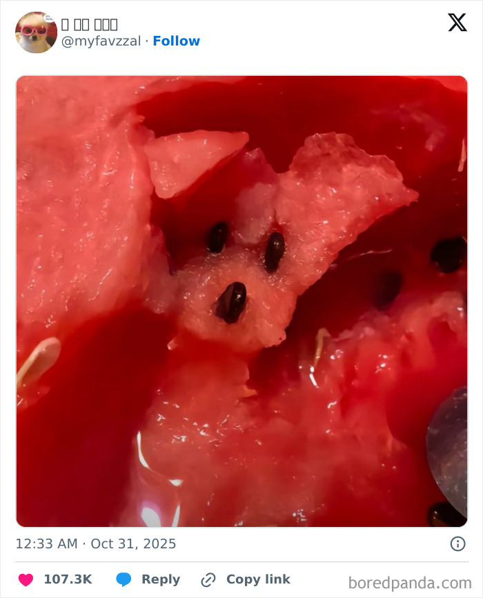 Pareidolia in a watermelon seed pattern shaped like a dog's face in fruit