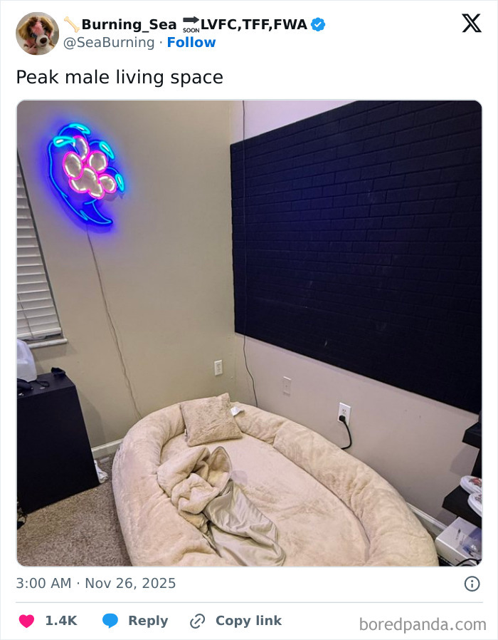 That Looks Beyond Comfortable