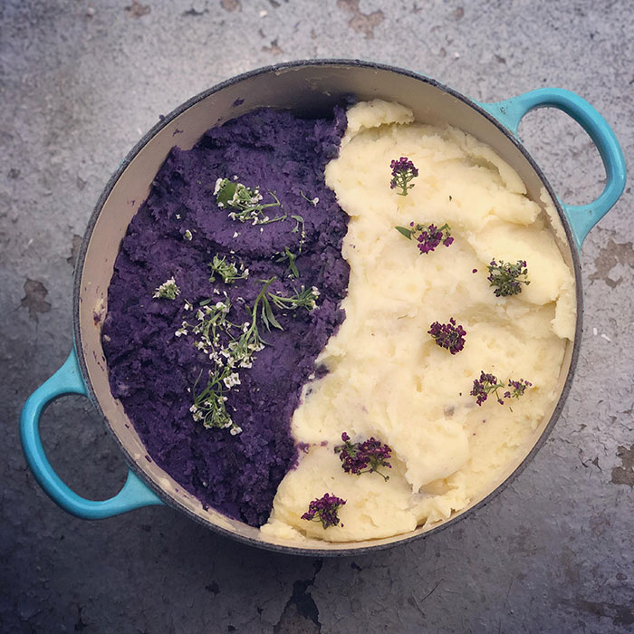 Uma panela verde-azulada com purê de batata: roxo à esquerda, branco à direita. Decorado com ervas e pequenas flores. Cozinhar com gordura de bacon.
