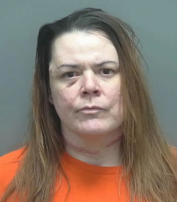 Mãe esfaqueia filha em episódio trágico e diz que foi para ‘protegê-la’ de Elon Musk Mãe esfaqueia filha em episódio trágico e diz que foi para ‘protegê-la’ de Elon Musk