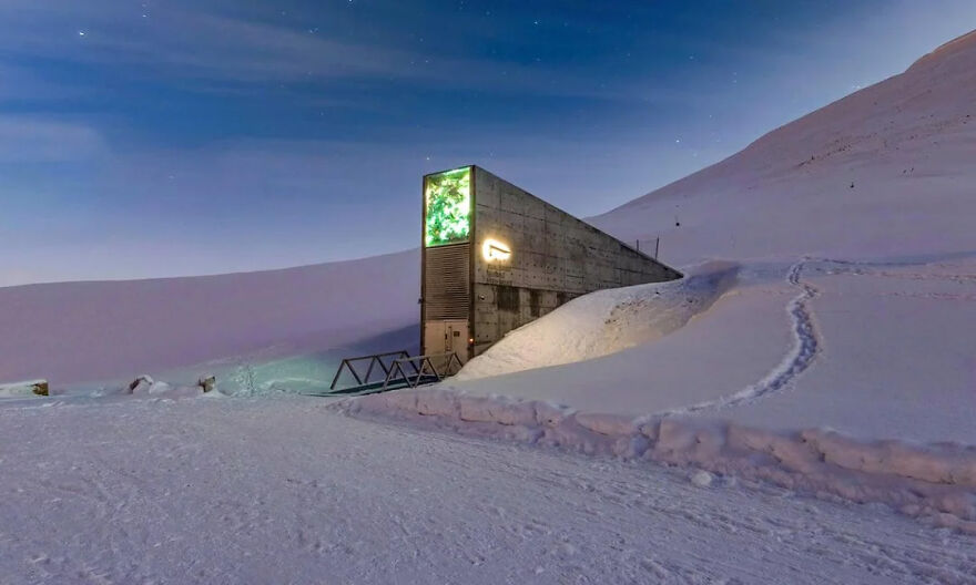 The Svalbard Global Seed Vault, a high-security facility, emerging from a snowy landscape under a starry night sky. Toughest security.