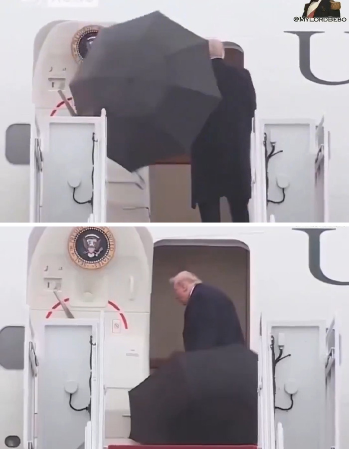 "Not A Presidential Skill": Why Presidents Struggle With Closing Umbrellas "Not A Presidential Skill": Why Presidents Struggle With Closing Umbrellas