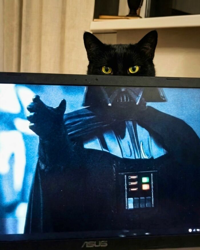 33 Wholesome And Funny Animal Pics That Will Instantly Make Your Day Better (New Pics)