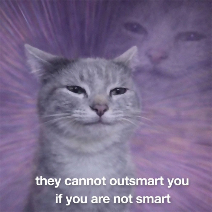 Grey cat meme with text about outsmarting, illustrating relatable humor from people who gave up on life but not on humor.
