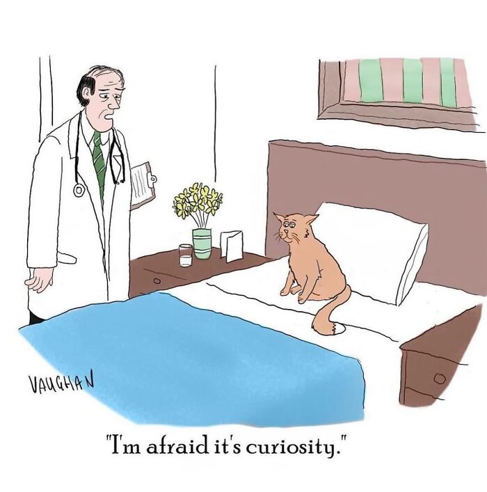 These Clever One-Panel Cartoons By Vaughan Tomlinson Turn Everyday Situations Into Brilliant Absurd Humor (40 New Pics)