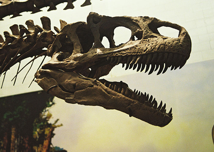 79 Times People Got Exclusive Access To Places And Couldn’t Believe Their Luck