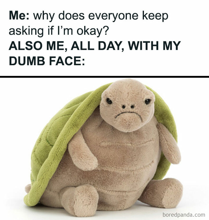 Funny-Relatable-Introvert-Memes