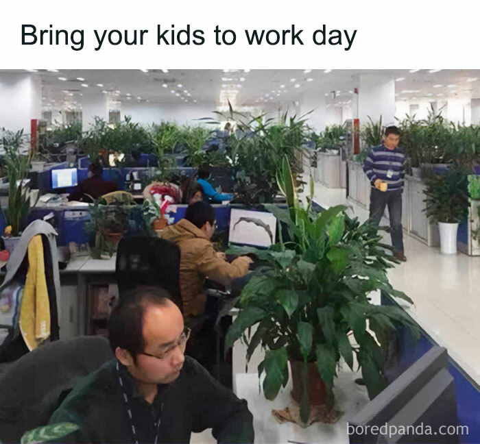 An office filled with plants, humorously titled "Bring your kids to work day." Perfect for a crazy plant parent who loves memes.