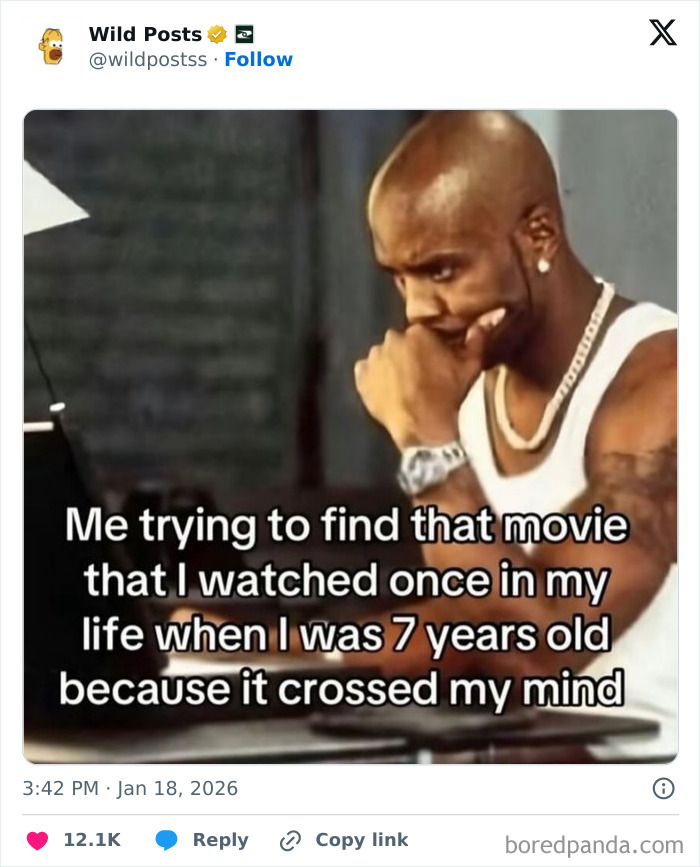 Wild-Internet-Posts
