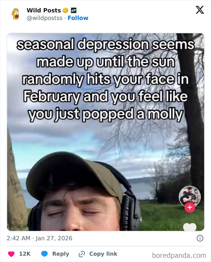 Wild-Internet-Posts