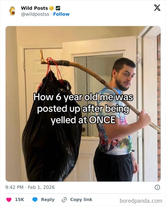 Wild-Internet-Posts