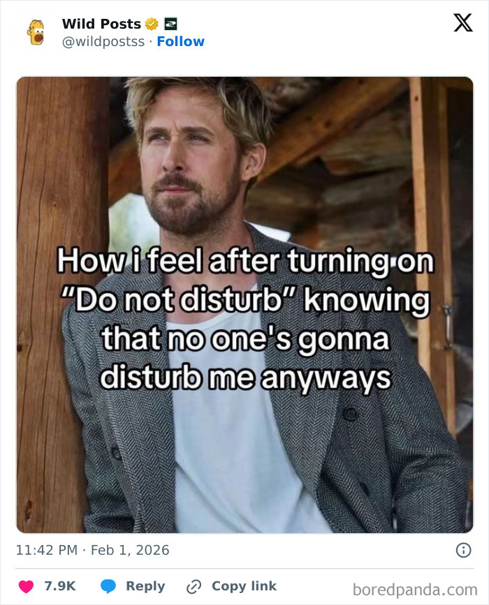Wild-Internet-Posts