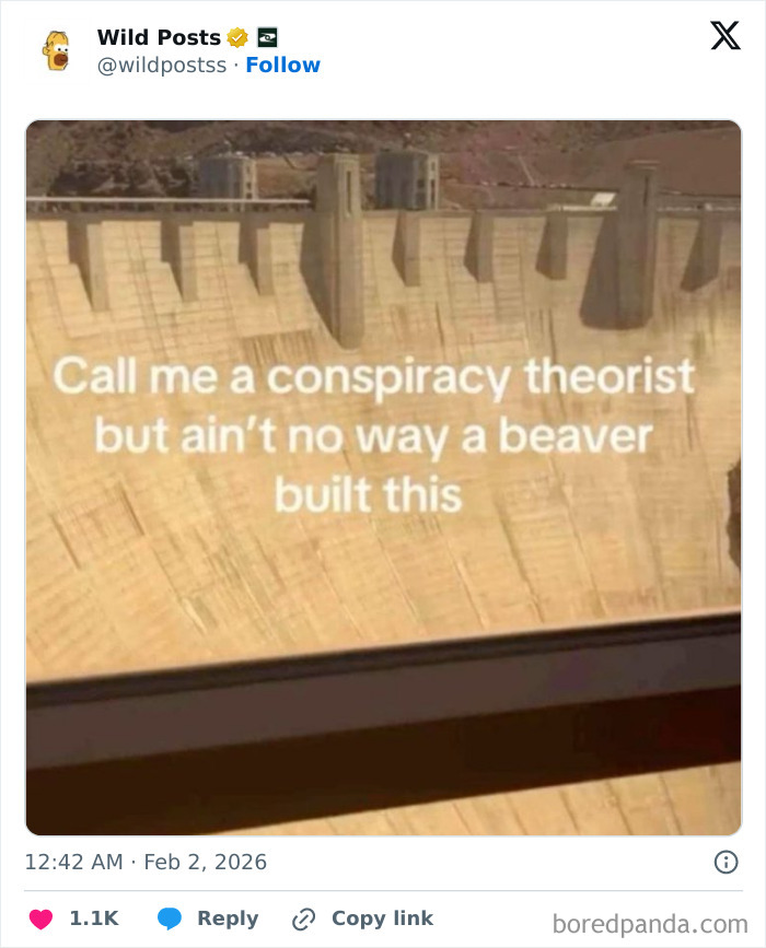A huge dam with the text, Call me a conspiracy theorist but ain't no way a beaver built this, a wild post for a real man.