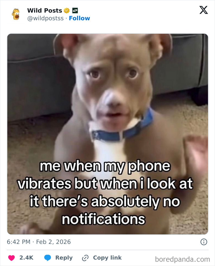 Wild-Internet-Posts