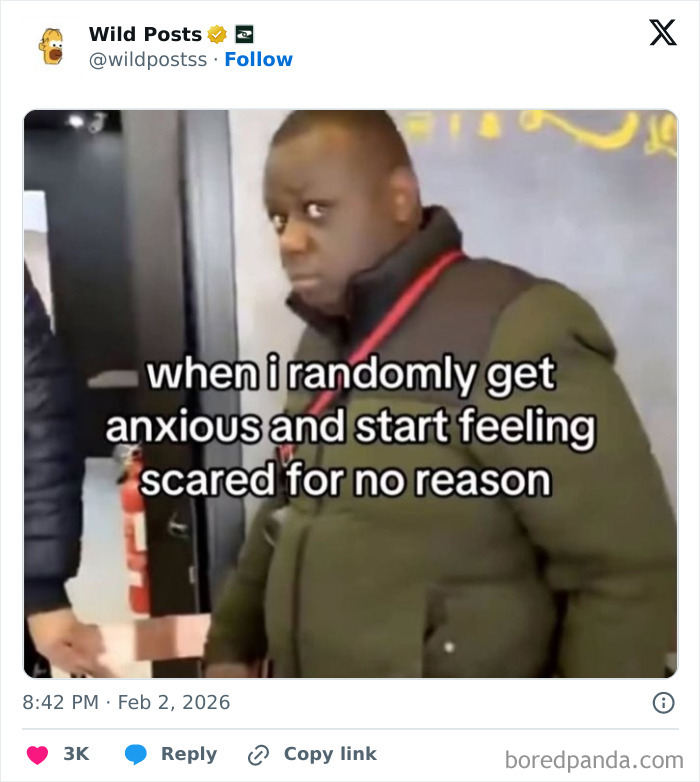 Wild-Internet-Posts