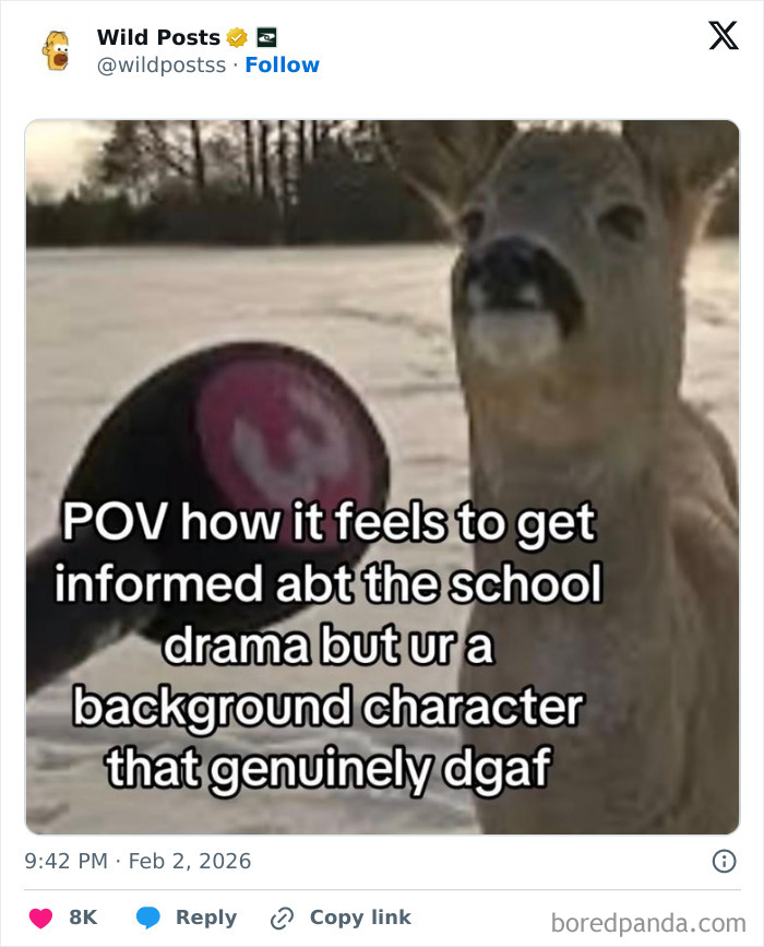 A deer in a snowy landscape, next to a black object. Text on image reads: "POV how it feels to get informed abt the school drama but ur a background character that genuinely dgaf". Wildest posts from around the internet.