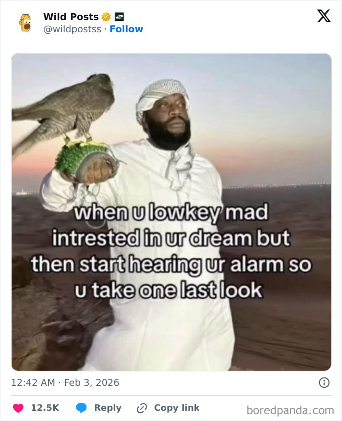 Wild-Internet-Posts